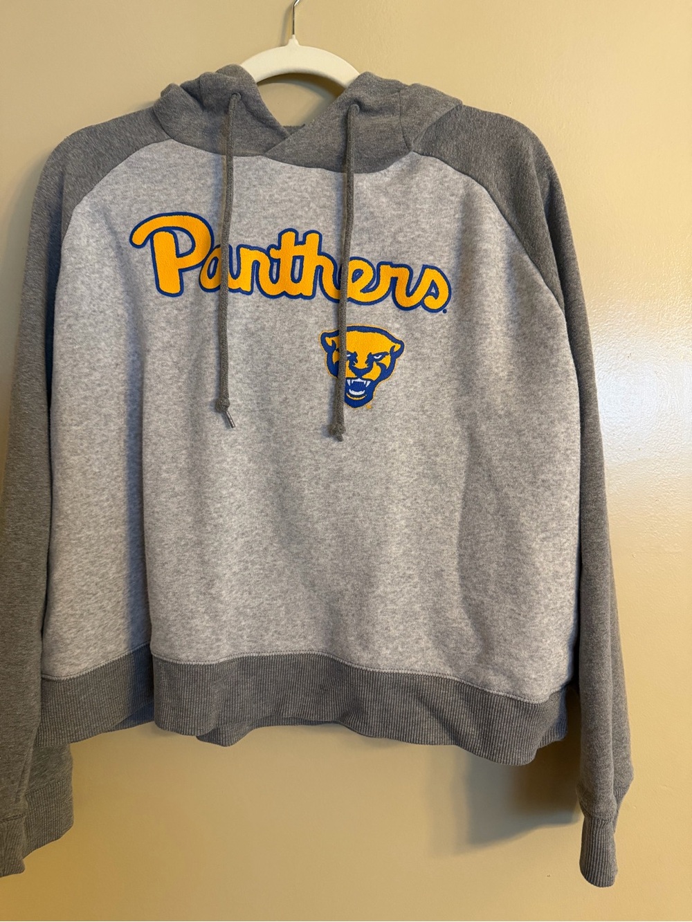 Champion Gray and Yellow Pitt Panthers Hoodie